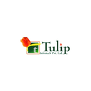 Tulip Infratech