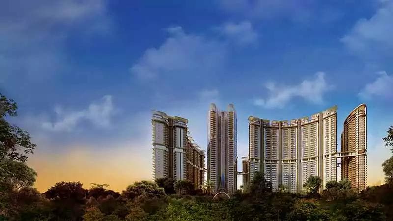 The Amaryllis Phase-1 project image